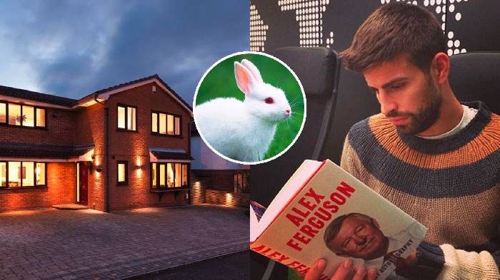 Cười 'lộn ruột' với c&acirc;u chuyện con thỏ của Pique v&agrave; Sir Alex