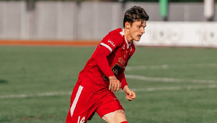 Nhận định, soi k&egrave;o Gorica vs Slovan Ljubljana, 21h00 ng&agrave;y 12/10: Kh&oacute; cho cửa tr&ecirc;n