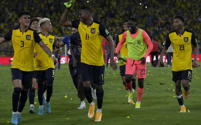 Nhận định, soi k&egrave;o Ecuador vs Iraq, 0h30 ng&agrave;y 13/11