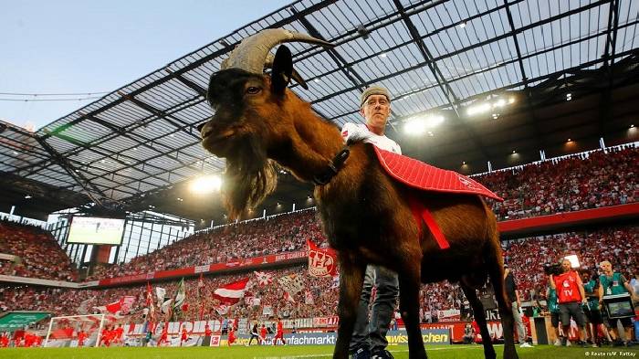 Nhận định, soi k&egrave;o Koln vs Heidenheim 1846, 21h30 ng&agrave;y 13/1