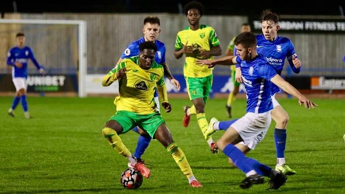 Nhận định, soi k&egrave;o Norwich City vs Watford, 02h45 ng&agrave;y 14/2: Top 6 vẫn gọi