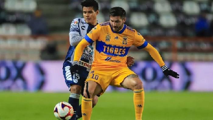 Ph&acirc;n t&iacute;ch k&egrave;o hiệp 1 Tigres UANL vs Pachuca, 9h06 ng&agrave;y 14/10