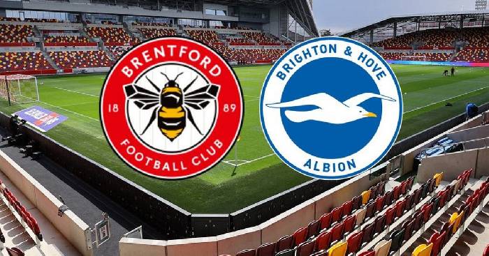 Ti&ecirc;n tri đại b&agrave;ng dự đo&aacute;n Brentford vs Brighton, 2h ng&agrave;y 15/10