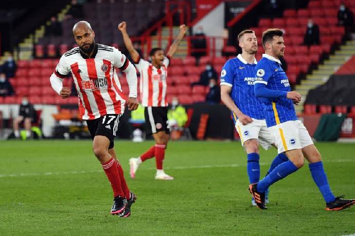 Nhận định, soi k&egrave;o Brighton vs Sheffield United, 21h00 ng&agrave;y 12/11