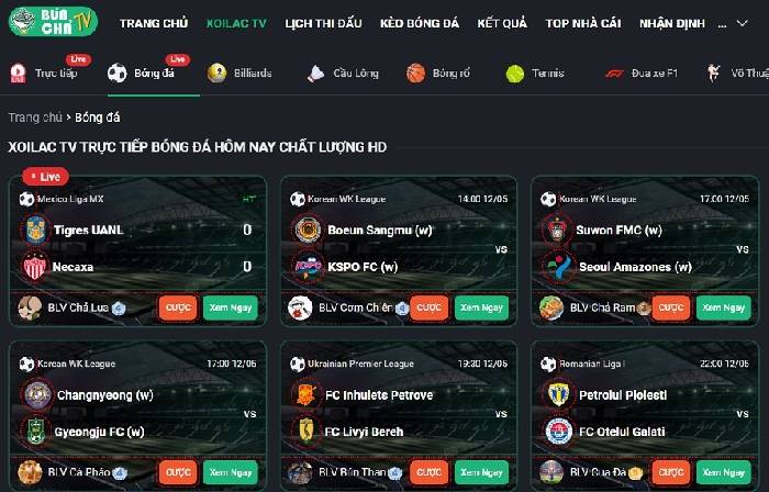 Những Lưu &Yacute; Khi Xem B&oacute;ng Đ&aacute; Trực Tuyến Kh&ocirc;ng Bị Giật Lag