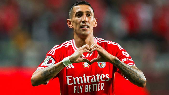 Nhận định, soi k&egrave;o Boavista vs Benfica, 2h45 ng&agrave;y 15/8