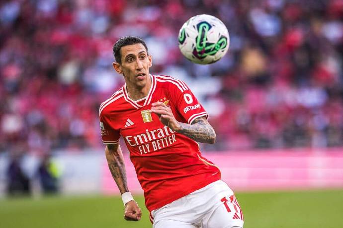 Nhận định, soi k&egrave;o Benfica vs Santa Clara, 02h30 ng&agrave;y 15/9: Ch&agrave;o mừng đến &ldquo;chảo lửa&rdquo; Da Luz