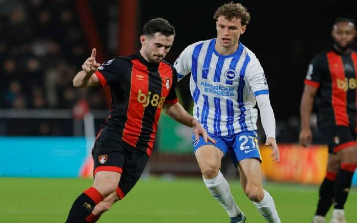Nhận định, soi k&egrave;o Bournemouth vs Brighton, 21h00 ng&agrave;y 13/9: Đ&ocirc;i c&ocirc;ng m&atilde;n nh&atilde;n