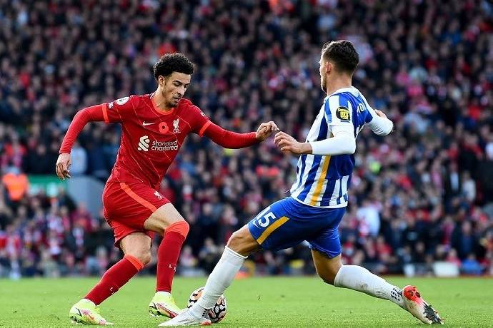 Nhận định, soi k&egrave;o Liverpool vs Brighton, 22h00 ng&agrave;y 13/12: Phập ph&ugrave;