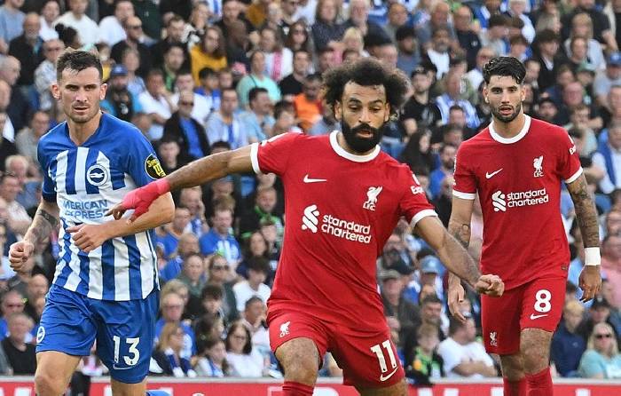 Si&ecirc;u m&aacute;y t&iacute;nh dự đo&aacute;n Liverpool vs Brighton, 22h00 ng&agrave;y 13/12