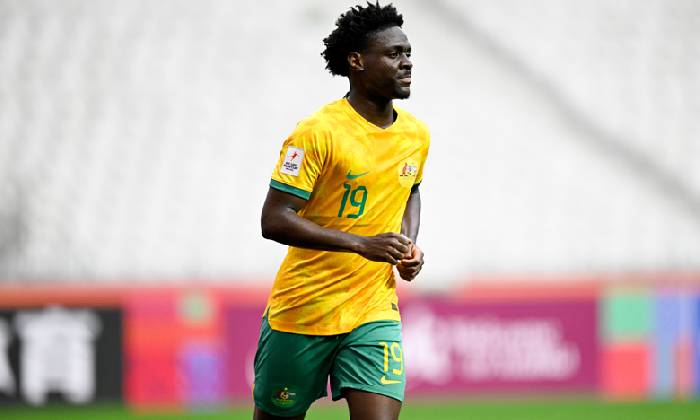 Nhận định, soi k&egrave;o U20 Qatar vs U20 &Uacute;c, 16h15 ng&agrave;y 15/2: Cửa dưới &lsquo;tạch&rsquo;