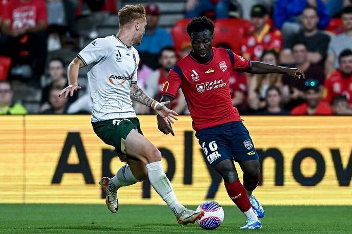 Nhận định, soi k&egrave;o Newcastle Jets với Adelaide United, 15h45 ng&agrave;y 15/3: Cơ hội cho chủ nh&agrave;