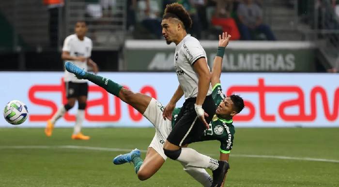 Nhận định, soi k&egrave;o Botafogo vs Palmeiras, 7h30 ng&agrave;y 15/8: Tận dụng lợi thế