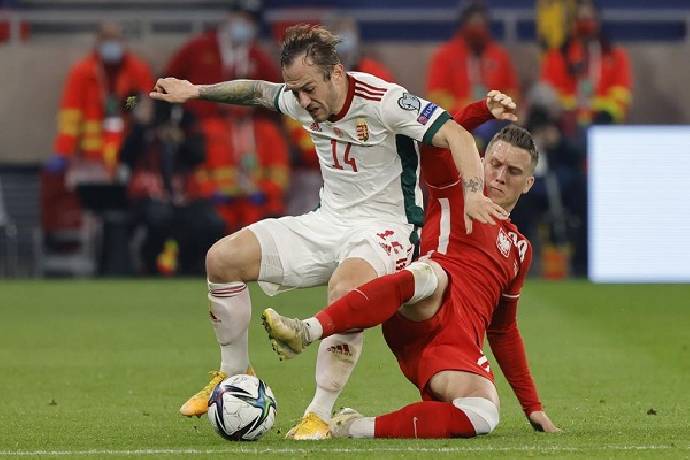 Nhận định, soi k&egrave;o Ba Lan vs Hungary, 2h45 ng&agrave;y 16/11