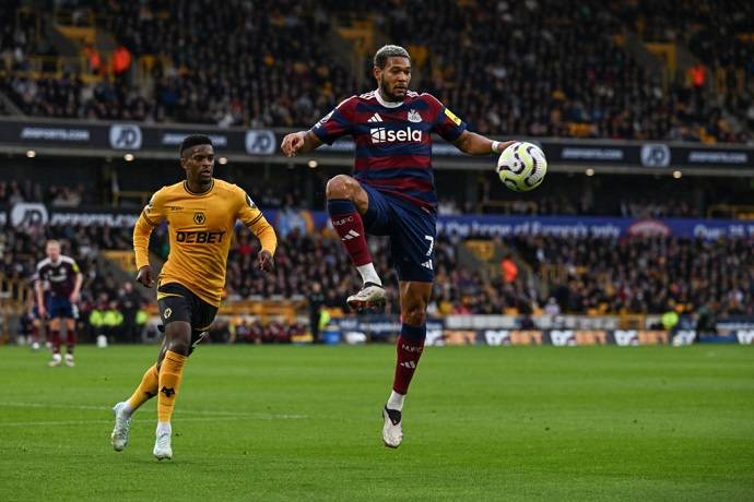 Chuy&ecirc;n gia Tony Ansell dự đo&aacute;n Newcastle vs Wolves, 2h30 ng&agrave;y 16/1