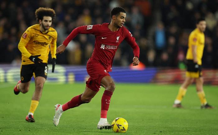 Soi k&egrave;o phạt g&oacute;c Wolves vs Liverpool, 18h30 ng&agrave;y 16/9