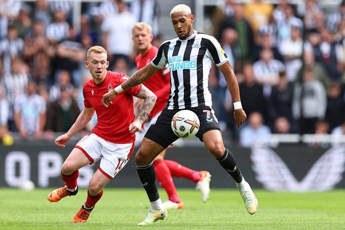 Nhận định, soi k&egrave;o Nottingham Forest vs Newcastle, 3h00 ng&agrave;y 18/3