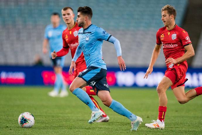 Dự đo&aacute;n, soi k&egrave;o thẻ v&agrave;ng Sydney FC vs Adelaide, 16h05 ng&agrave;y 19/6
