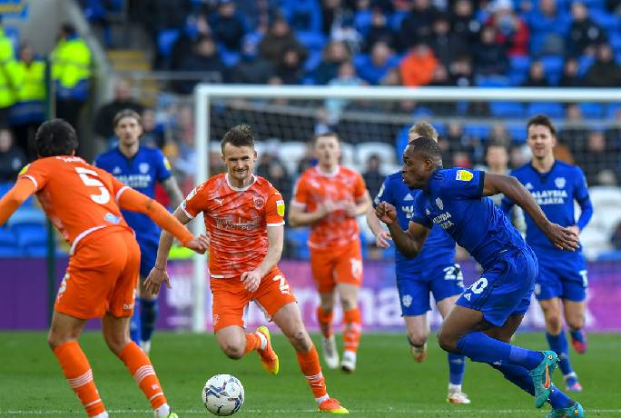 K&egrave;o xi&ecirc;n thơm nhất h&ocirc;m nay 17/12: Cardiff vs Blackpool