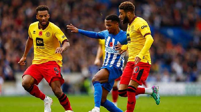 Nhận định, soi k&egrave;o Sheffield United với Brighton, 21h00 ng&agrave;y 18/02: Cản bước đội kh&aacute;ch