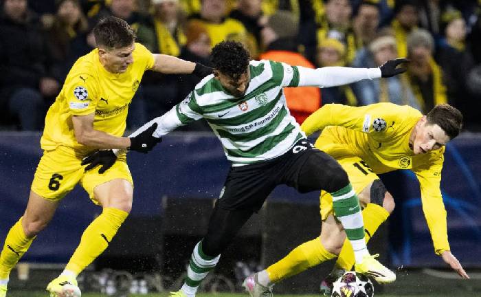 Nhận định, soi k&egrave;o Sporting vs Bodo/Glimt, 00h45 ng&agrave;y 18/3: Viết tiếp c&acirc;u chuyện cổ t&iacute;ch