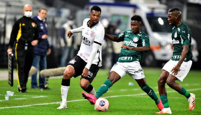 Nhận định Palmeiras vs Defensa y Justicia, 5h15 ng&agrave;y 19/5