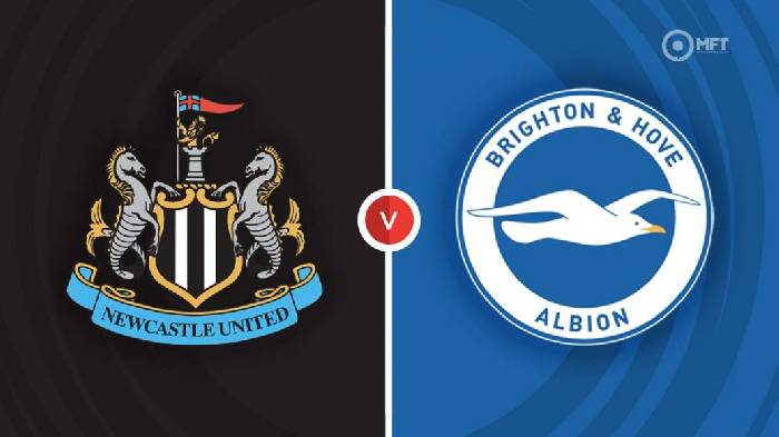 Chuy&ecirc;n gia dự đo&aacute;n kết quả Newcastle vs Brighton, 01h30 ng&agrave;y 19/5