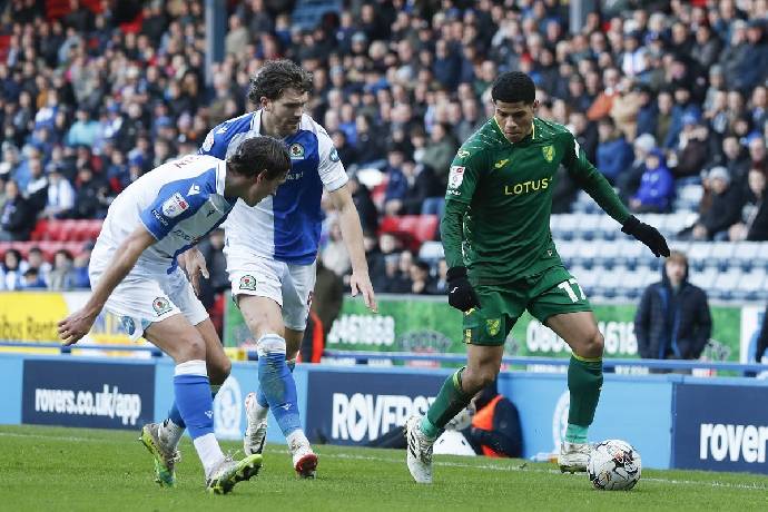 Nhận định, soi k&egrave;o Norwich City vs Blackburn Rovers, 21h00 ng&agrave;y 17/8: Chiến thắng thứ tư