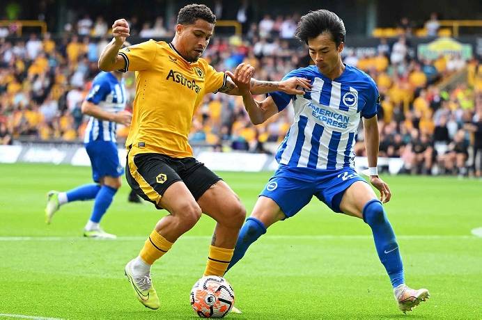 Nhận định, soi k&egrave;o Brighton vs Wolves, 1h45 ng&agrave;y 19/9: M&oacute;ng vuốt của Hải &acirc;u