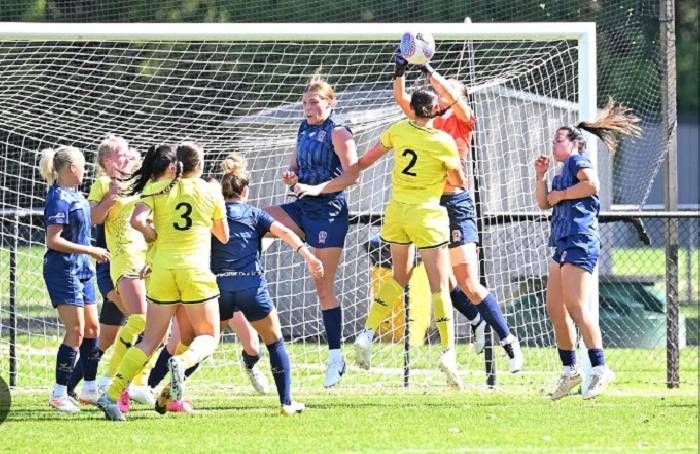 Nhận định, soi k&egrave;o Nữ Central Coast Mariners vs Nữ Wellington Phoenix, 14h00 ng&agrave;y 18/11