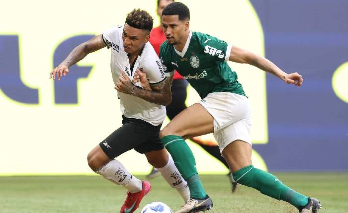 Nhận định, soi k&egrave;o Palmeiras vs Botafogo, 5h00 ng&agrave;y 19/3: Nhẹ nh&agrave;ng vượt ải