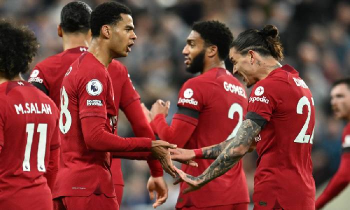 Cody Gakpo: 'Anh ấy l&agrave; thủ lĩnh thực sự của Liverpool'