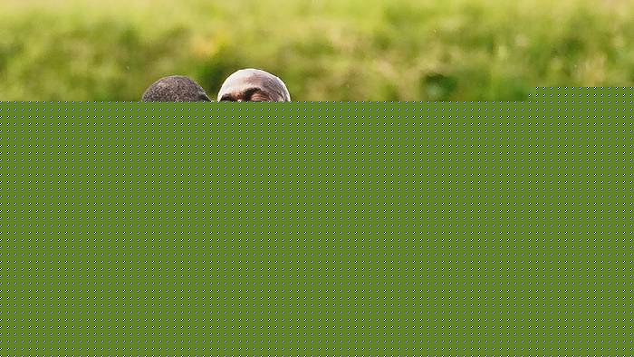 Nhận định, soi k&egrave;o Aarhus vs Midtjylland, 23h00 ng&agrave;y 19/7: Đối thủ y&ecirc;u th&iacute;ch