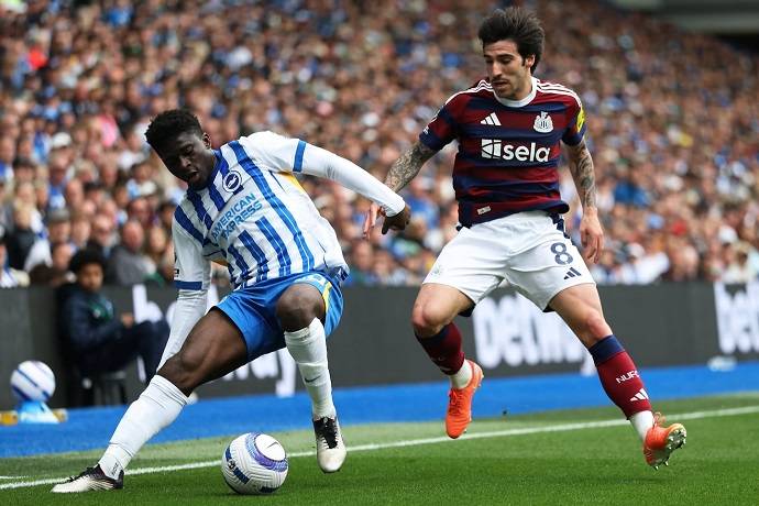 Nhận định, soi k&egrave;o Brighton vs Newcastle, 21h00 ng&agrave;y 18/10: Tin ở chủ nh&agrave;