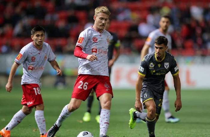 Dự đo&aacute;n, soi k&egrave;o thẻ v&agrave;ng Adelaide vs Macarthur, 15h45 ng&agrave;y 20/1