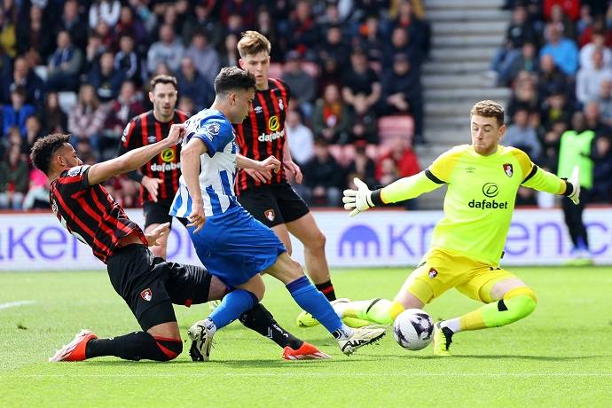 Si&ecirc;u m&aacute;y t&iacute;nh dự đo&aacute;n Brighton vs Bournemouth, 3h00 ng&agrave;y 20/1