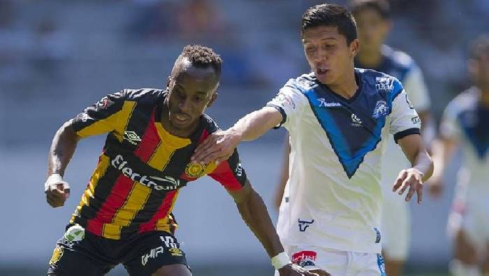 Nhận định, soi k&egrave;o Venados với Cimarrones Sonora, 08h05 ng&agrave;y 21/03: Dễ d&agrave;ng đ&uacute;t t&uacute;i 3 điểm