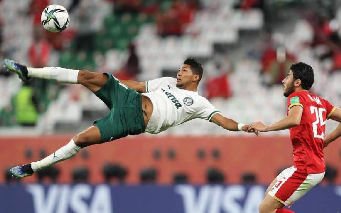 Chuy&ecirc;n gia Tony Ansell dự đo&aacute;n Palmeiras vs Al Ahly, 23h00 ng&agrave;y 19/6