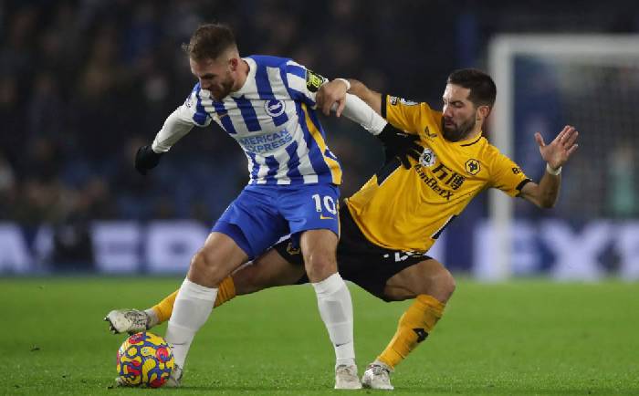 Nhận định, soi k&egrave;o Wolves vs Brighton, 21h00 ng&agrave;y 19/8