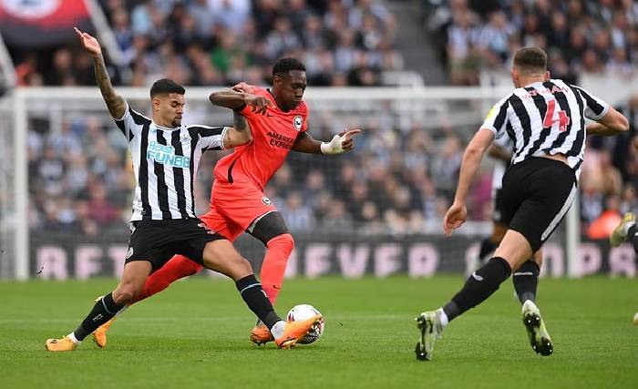 Si&ecirc;u m&aacute;y t&iacute;nh dự đo&aacute;n Newcastle vs Brighton, 21h00 ng&agrave;y 19/10