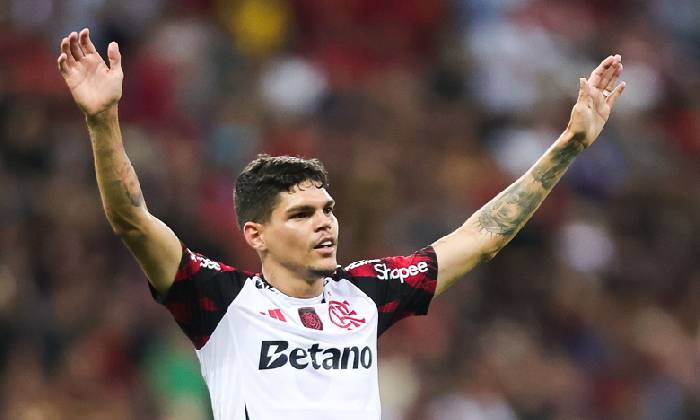 K&egrave;o v&agrave;ng b&oacute;ng đ&aacute; Fluminense vs Flamengo, 07h30 ng&agrave;y 20/11: Kh&aacute;ch hoan ca