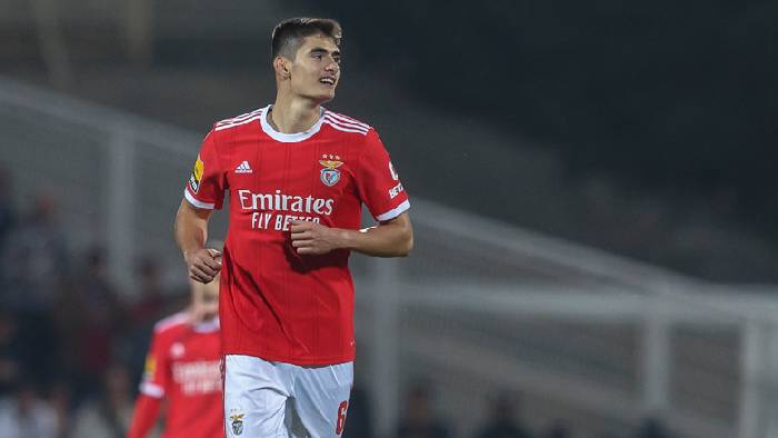 Nhận định, soi k&egrave;o Santa Clara vs Benfica, 1h ng&agrave;y 22/1