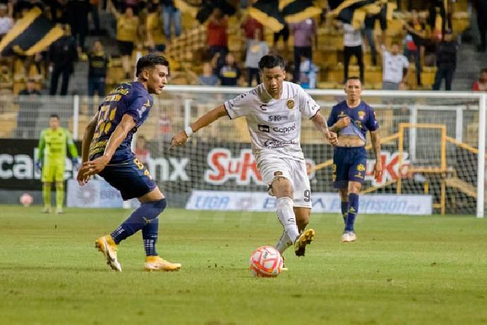 Nhận định, soi k&egrave;o CSyD Dorados de Sinaloa với Leones Negros, 10h05 ng&agrave;y 21/03: Chưa thể ph&aacute; dớp