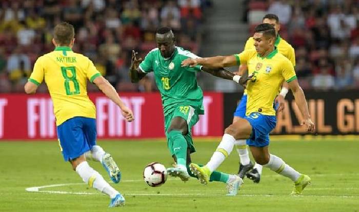 Nhận định, soi k&egrave;o Brazil vs Senegal, 2h ng&agrave;y 21/6