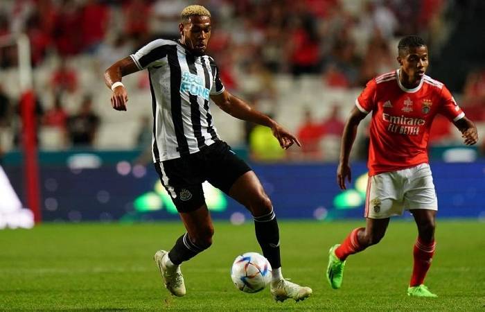 Nhận định, soi k&egrave;o Newcastle vs Benfica, 2h00 ng&agrave;y 22/10: Điểm số đầu ti&ecirc;n