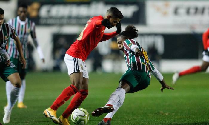 Nhận định, soi k&egrave;o Estrela vs Benfica, 2h ng&agrave;y 21/11