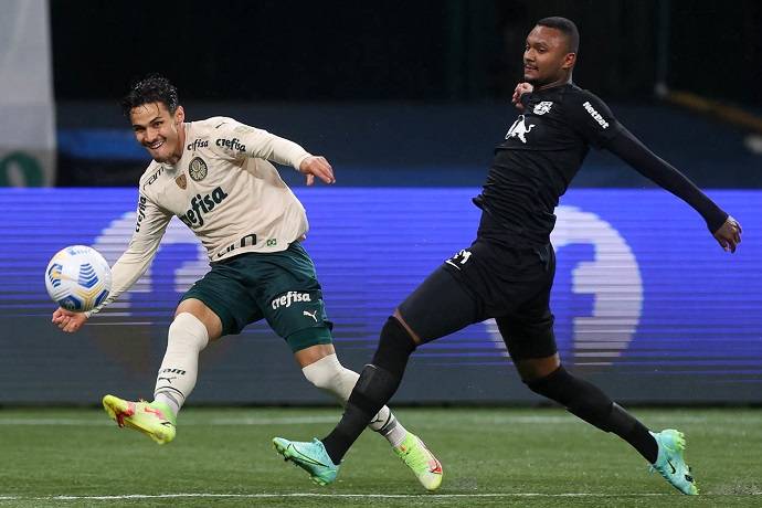 Nhận định, soi k&egrave;o Palmeiras vs Bragantino, 7h35 ng&agrave;y 23/2