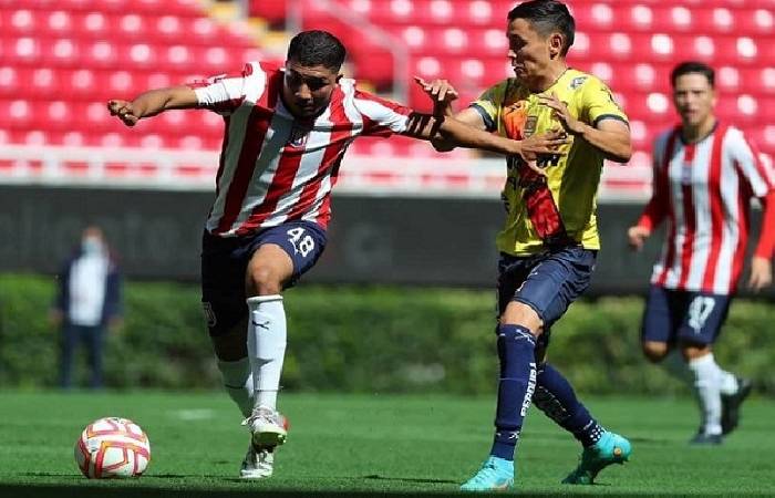 Nhận định, soi k&egrave;o Leones Negros với Chivas Tapatio, 8h05 ng&agrave;y 23/2: Chủ nh&agrave; qu&aacute; ổn