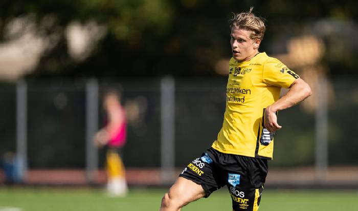 Nhận định, soi k&egrave;o Elfsborg vs Hammarby, 19h00 ng&agrave;y 22/9: Cửa tr&ecirc;n &lsquo;ghi điểm&rsquo;