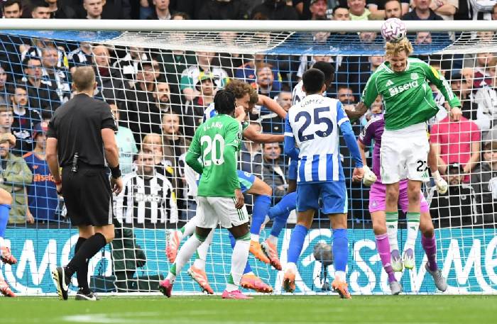 Soi k&egrave;o g&oacute;c Newcastle vs Benfica, 02h00 ng&agrave;y 22/10